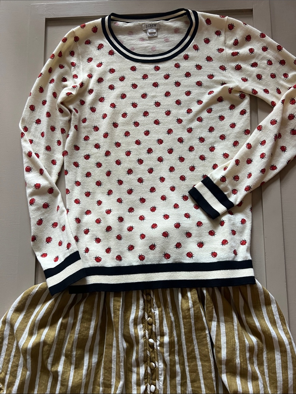 J. Crew Cream Long-Sleeve Cotton Knit Top with Red Ladybug Motif and Black Trim